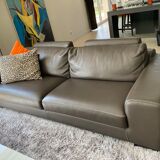 Taupe leather sofas