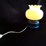Pair of duck blue and white opaline lamps