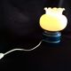 Pair of duck blue and white opaline lamps