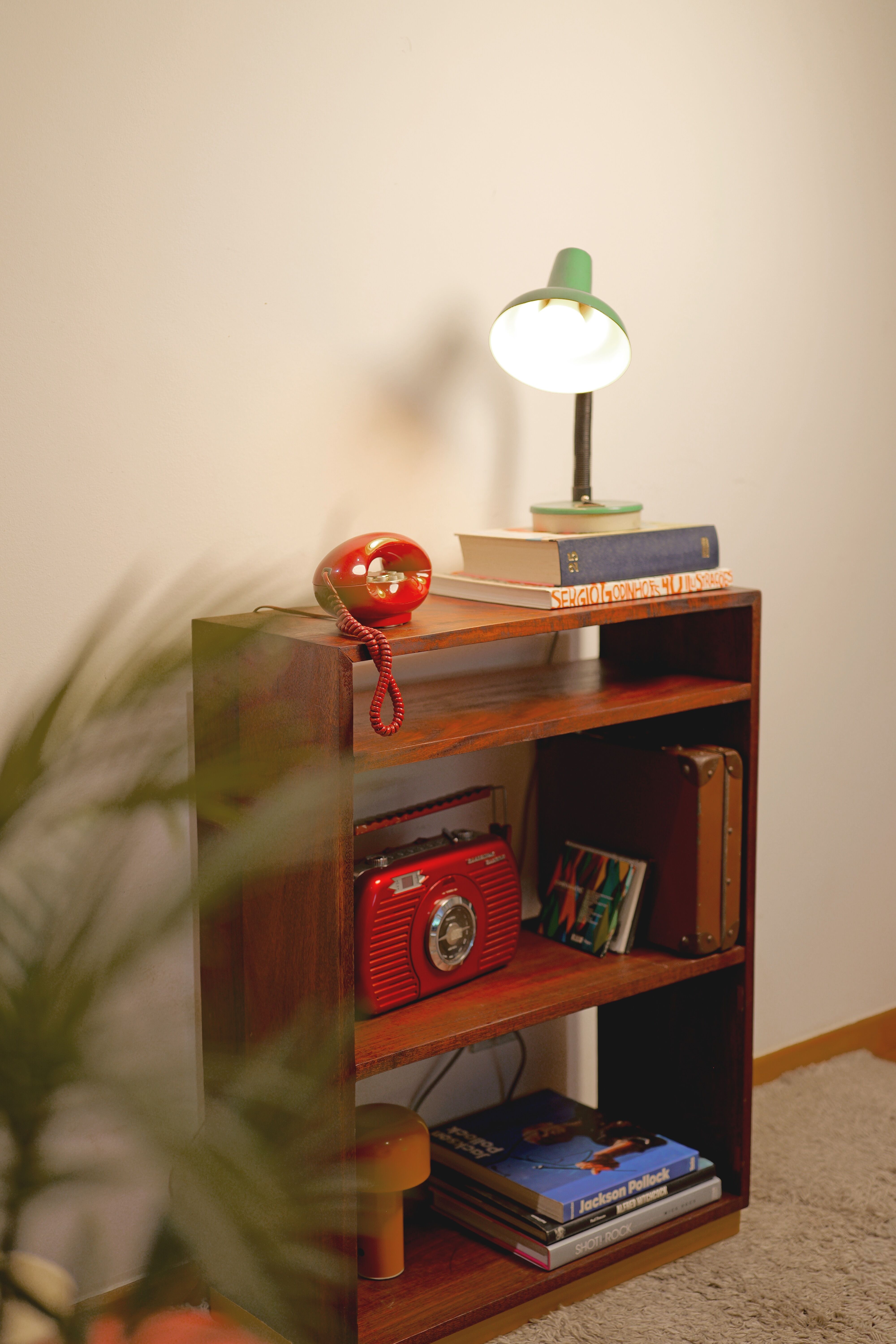 The Echo Book Shelf