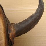 Traditional African Kora