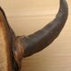 Kora Africaine Traditionnelle