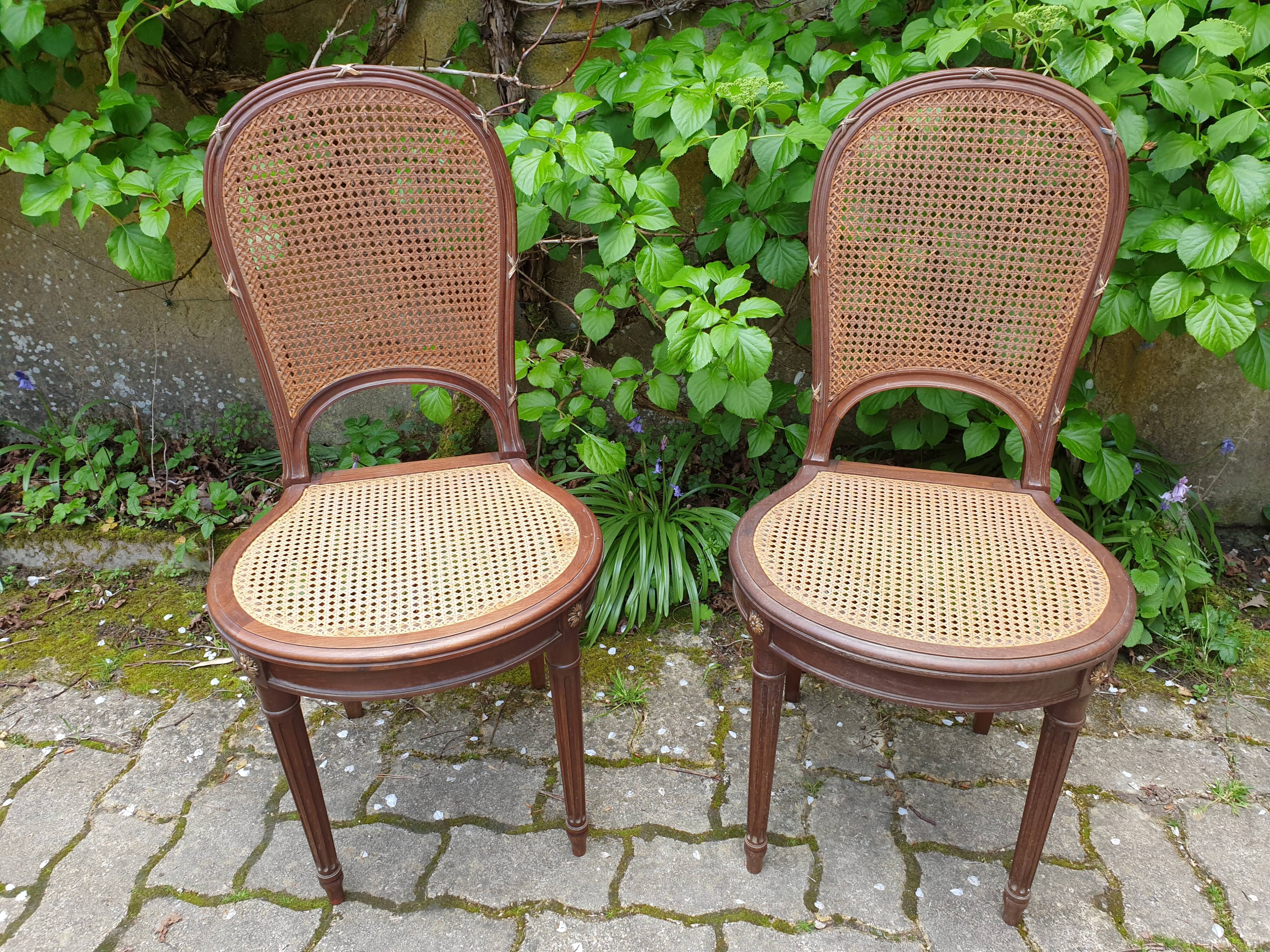 Louis XVI canning chairs