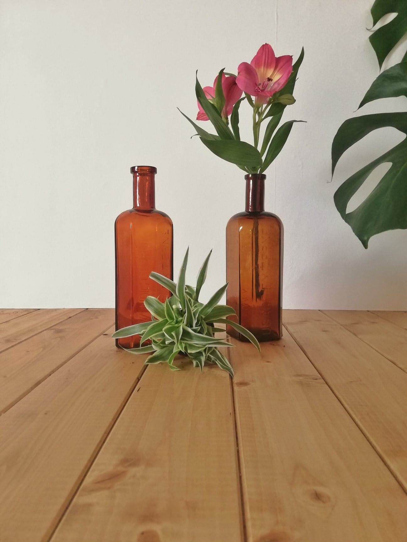 Old pharmacy bottles