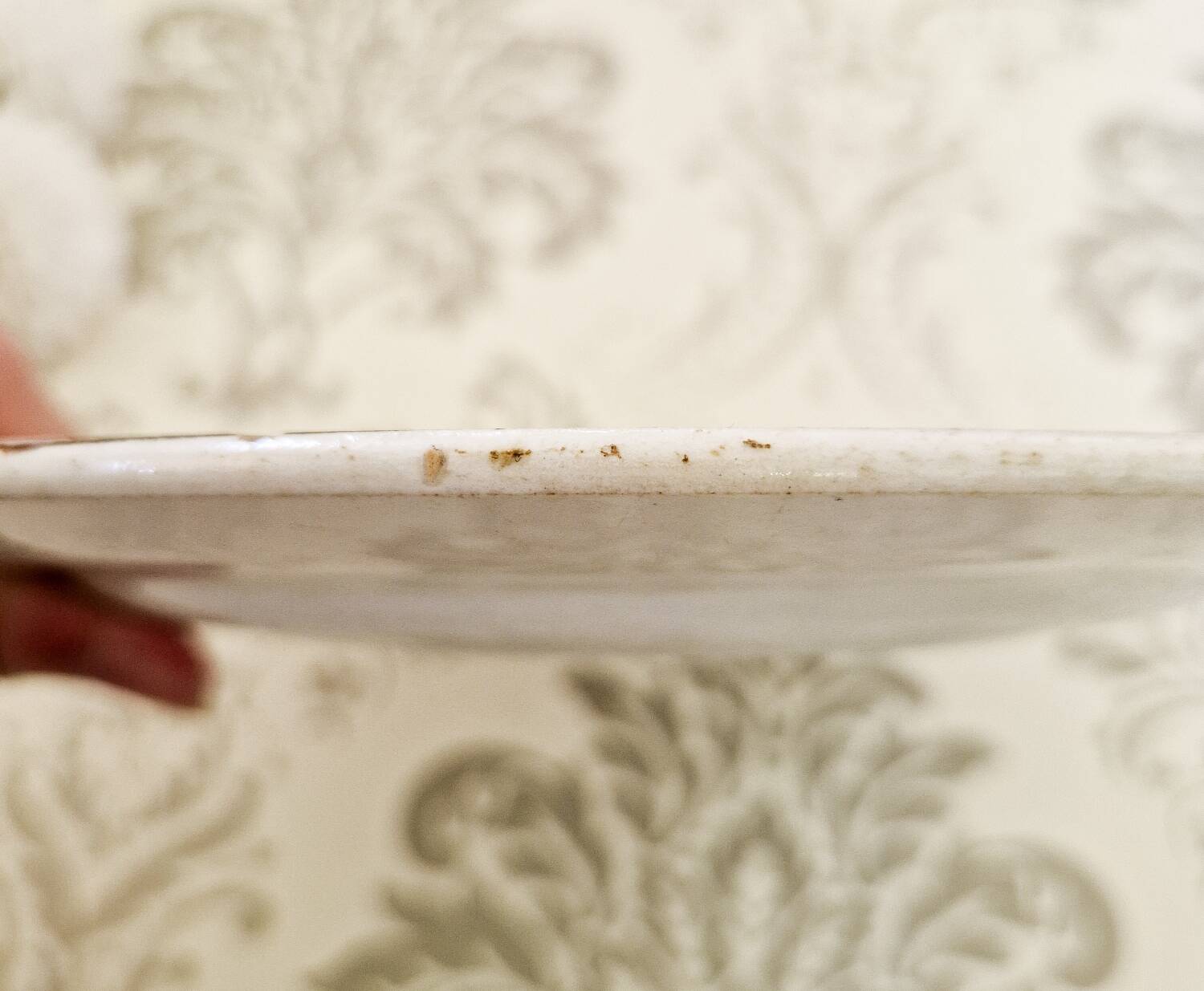 Old flat plates Terre de Fer Cadix Clairefontaine Léon Graves