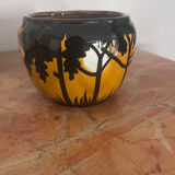 Orchies pot