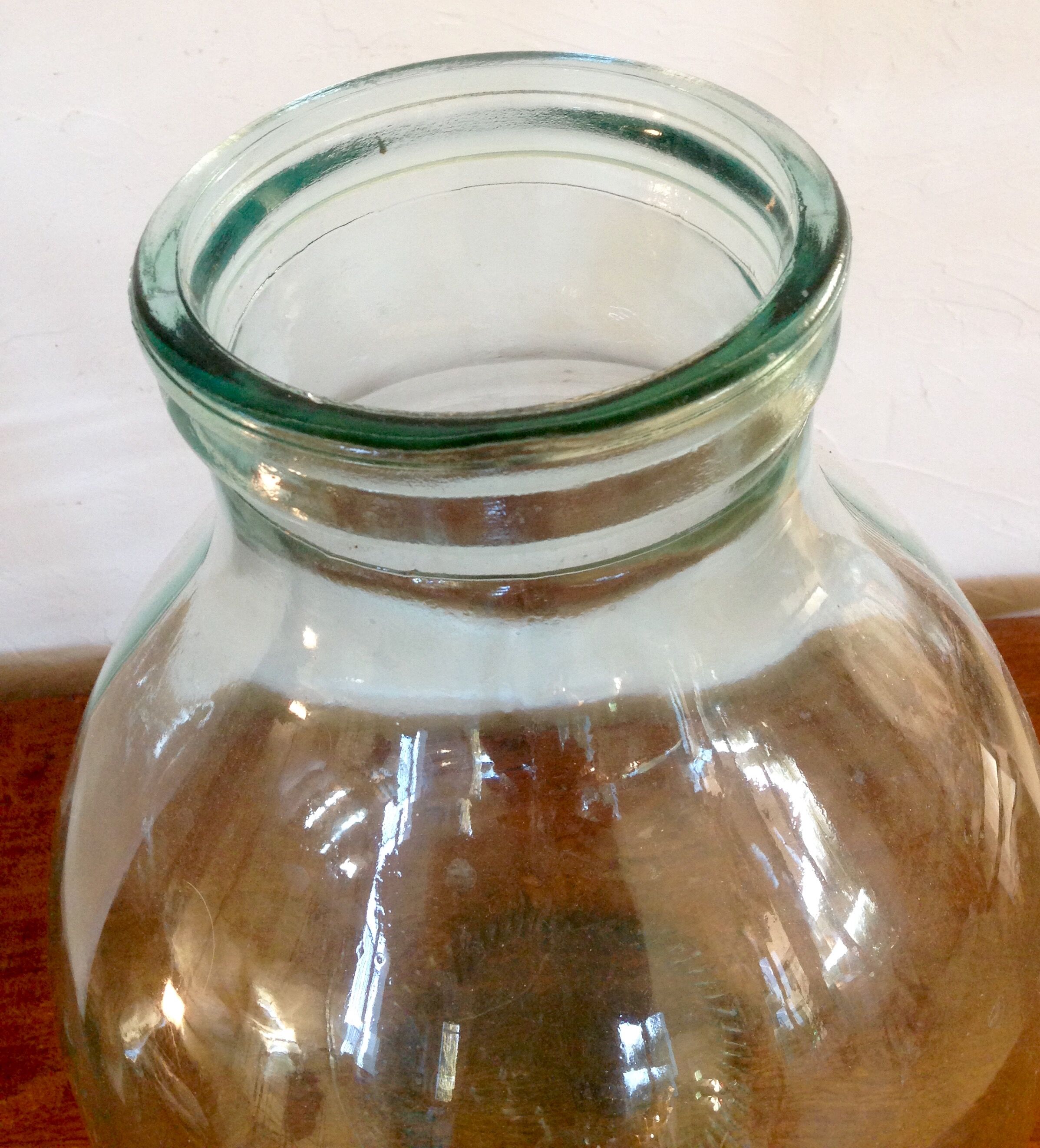 Lady Jeanne atypical 16 L, flared neck