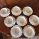 8 Limoges porcelain cups