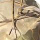 Hollywood Regency Brass Heron Floor Lamp by Citonne Oggi 1970
