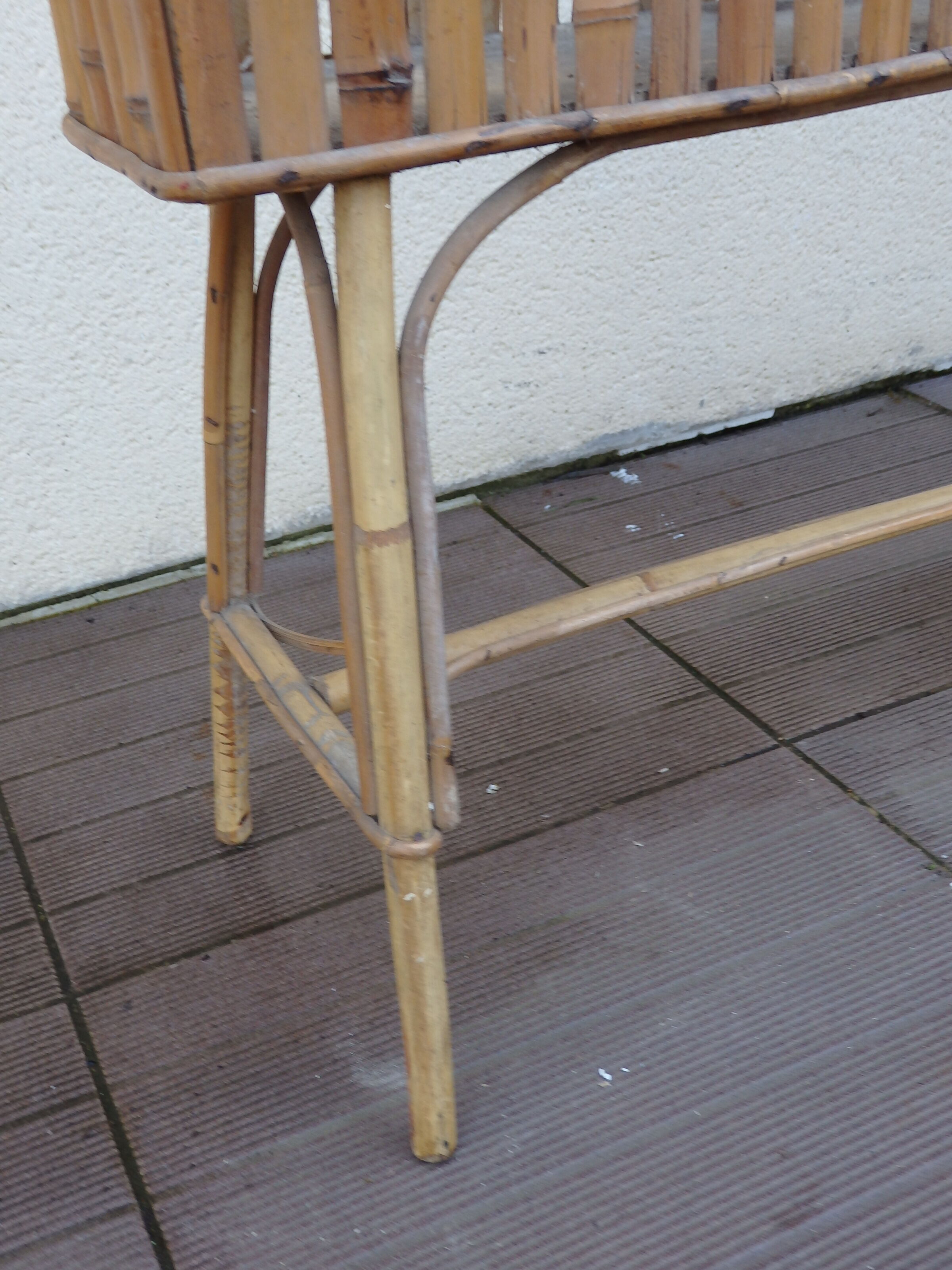 Vintage rot root plant door