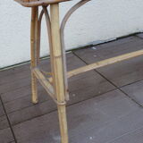 Vintage rot root plant door