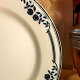 Plate iron earth Salins