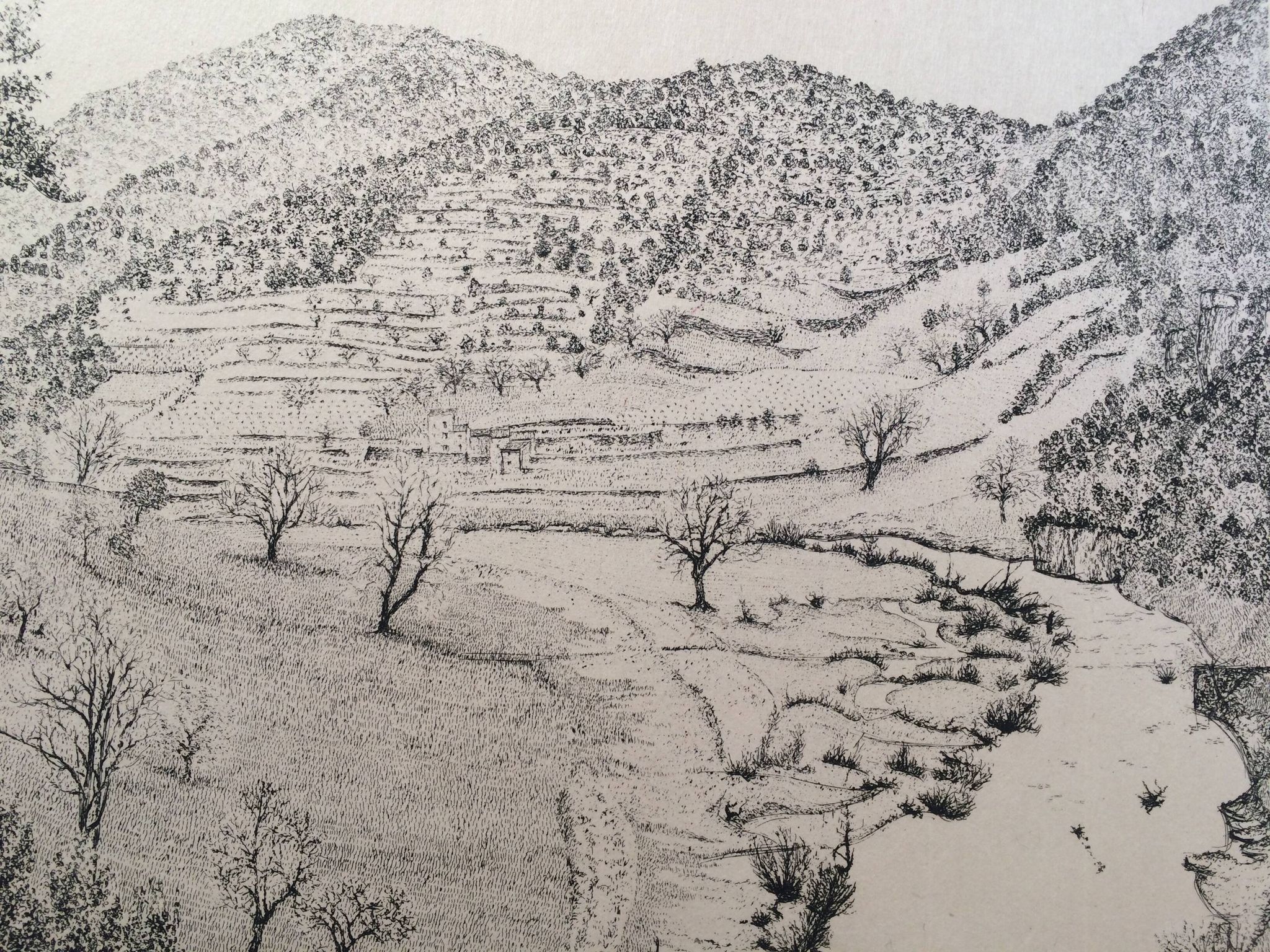 Jacques Houplain, Canyon landscape, signed and numbered engraving