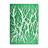 Root Green