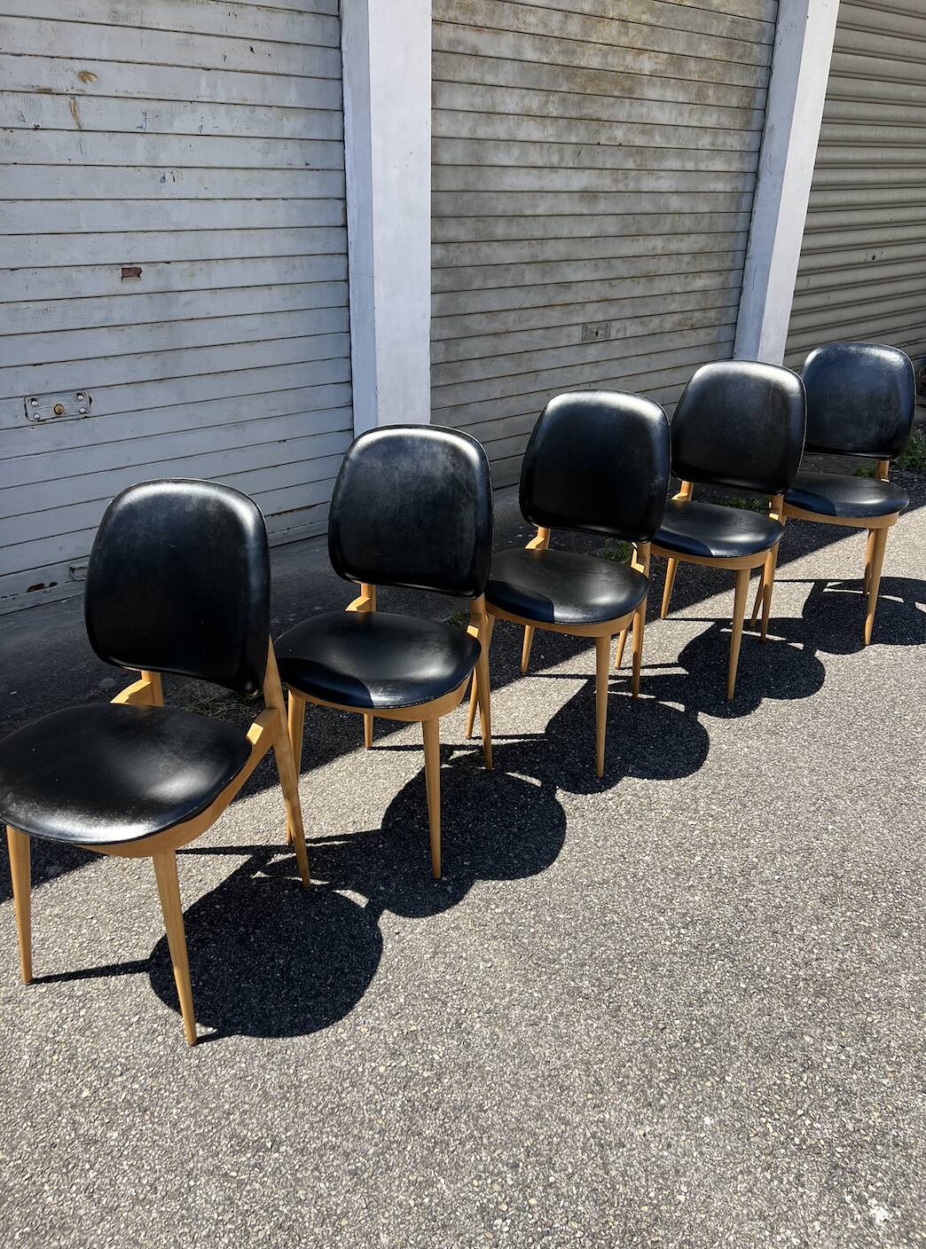 (Lot) 5 Chaises Pégase, Pierre Gurariche pour Baumann