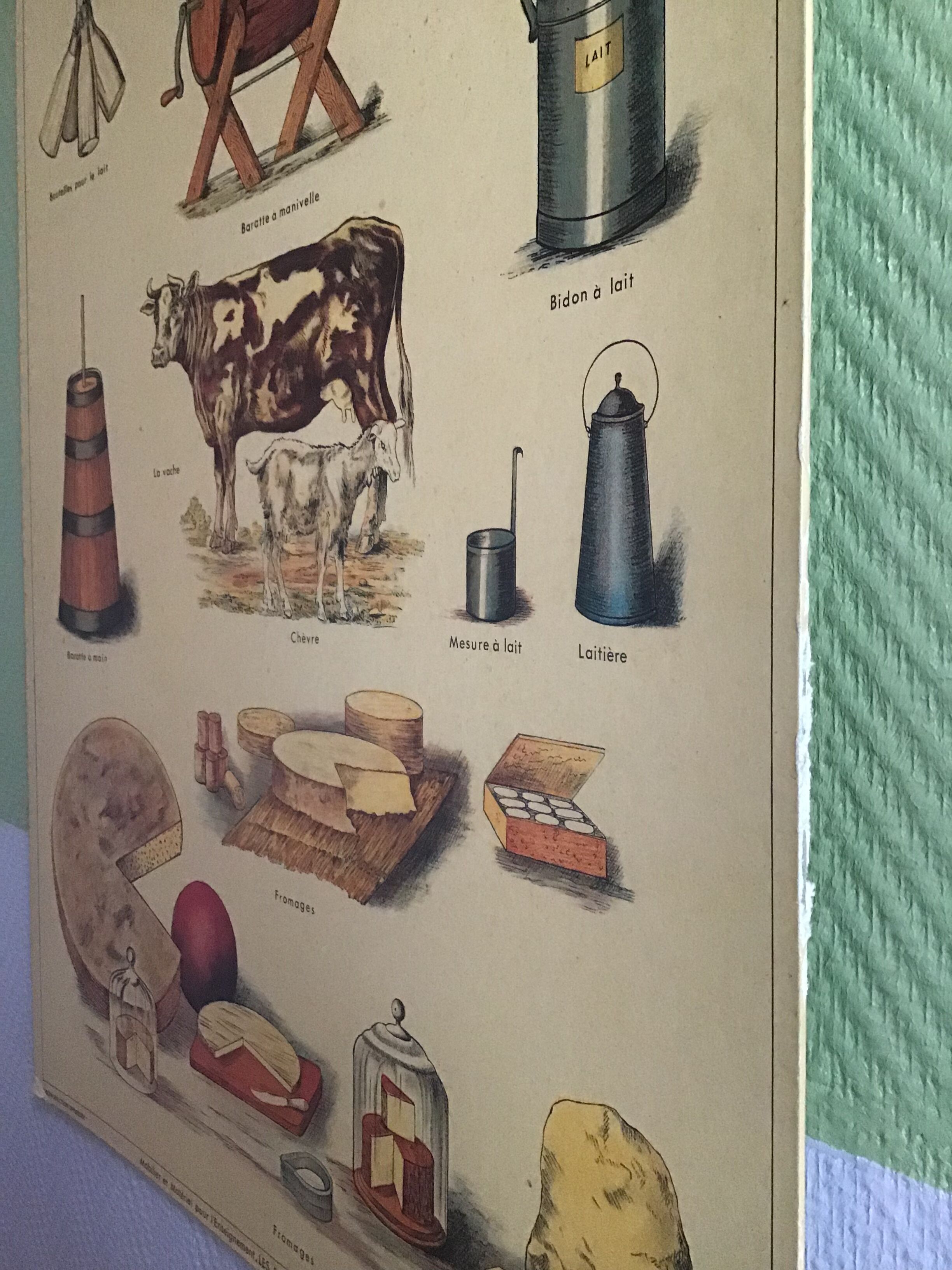 Educational poster milk, 80s