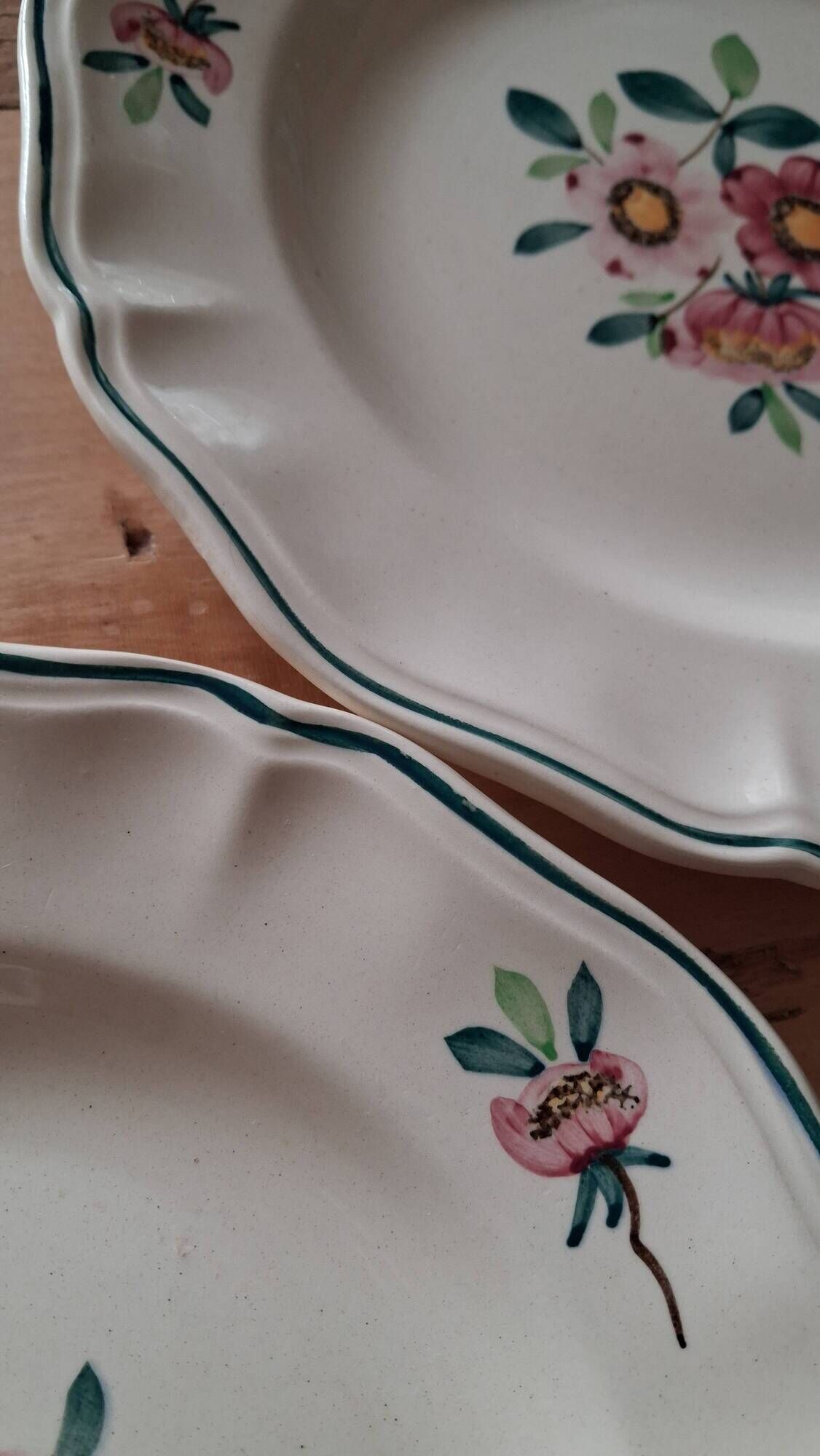 Amazonas plates Sarreguemines