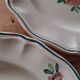 Amazonas plates Sarreguemines