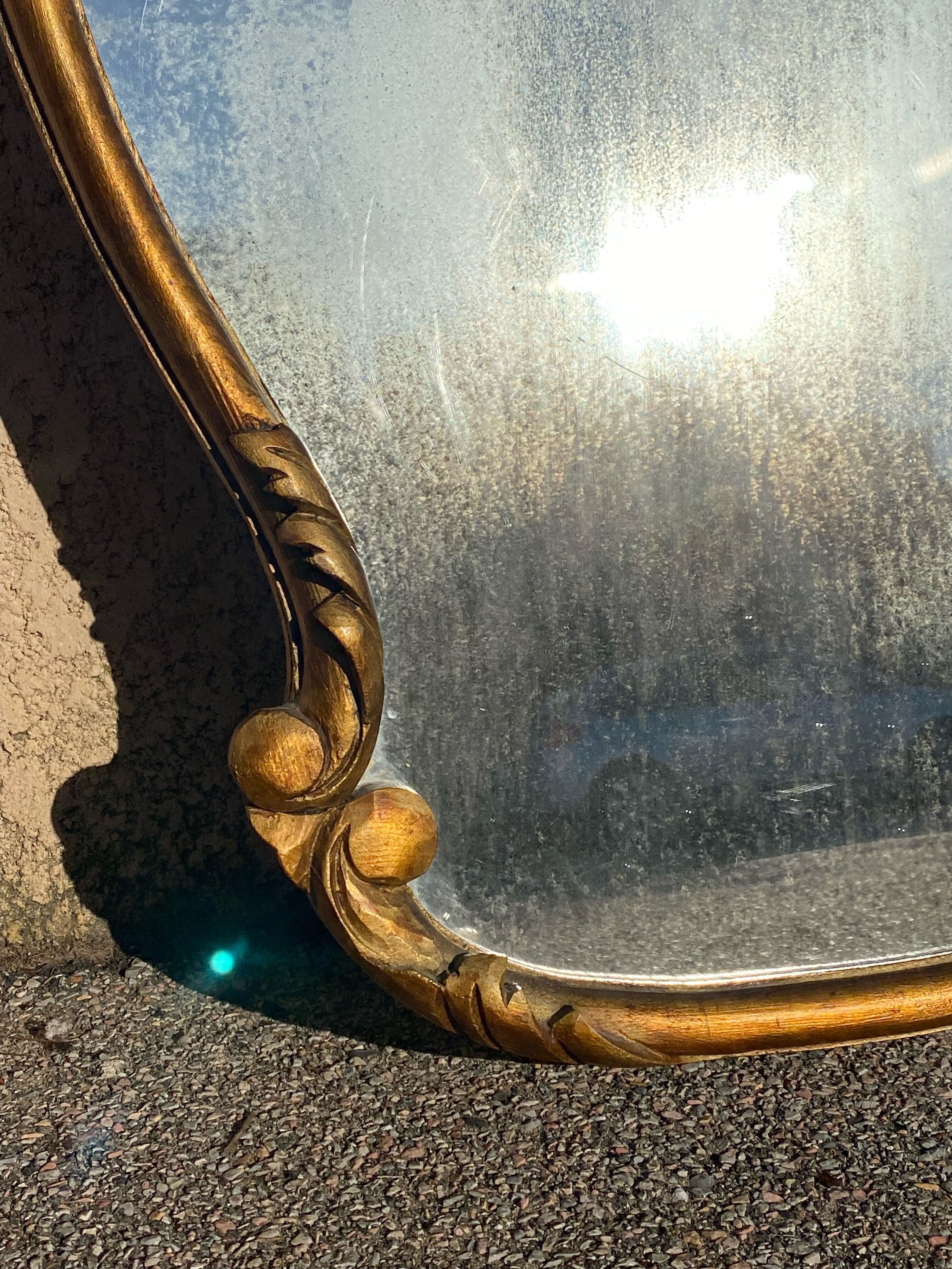 Louis XV style shell mirror
