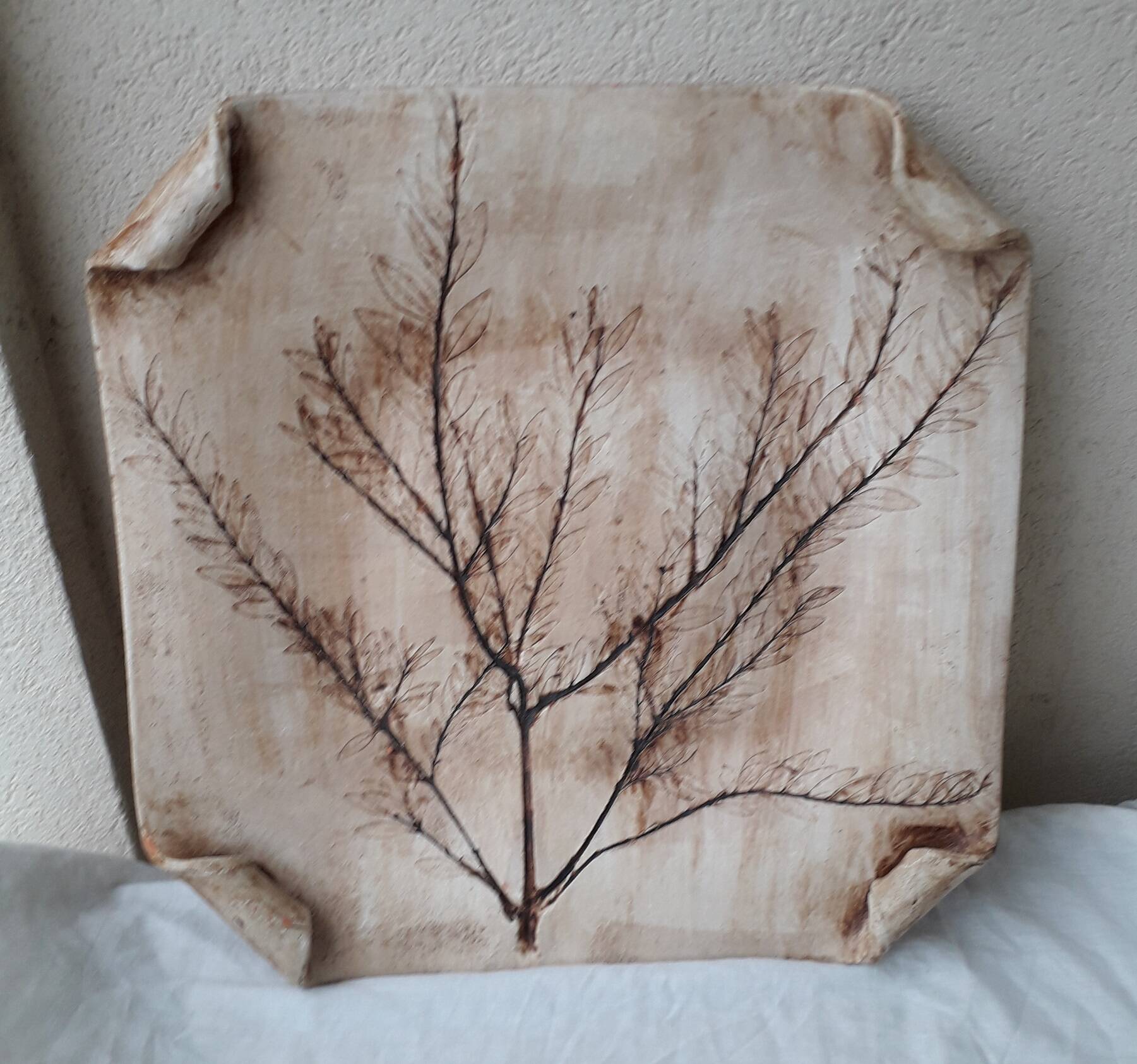 Herbarium cut dish