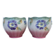Pair of earthenware plant pots