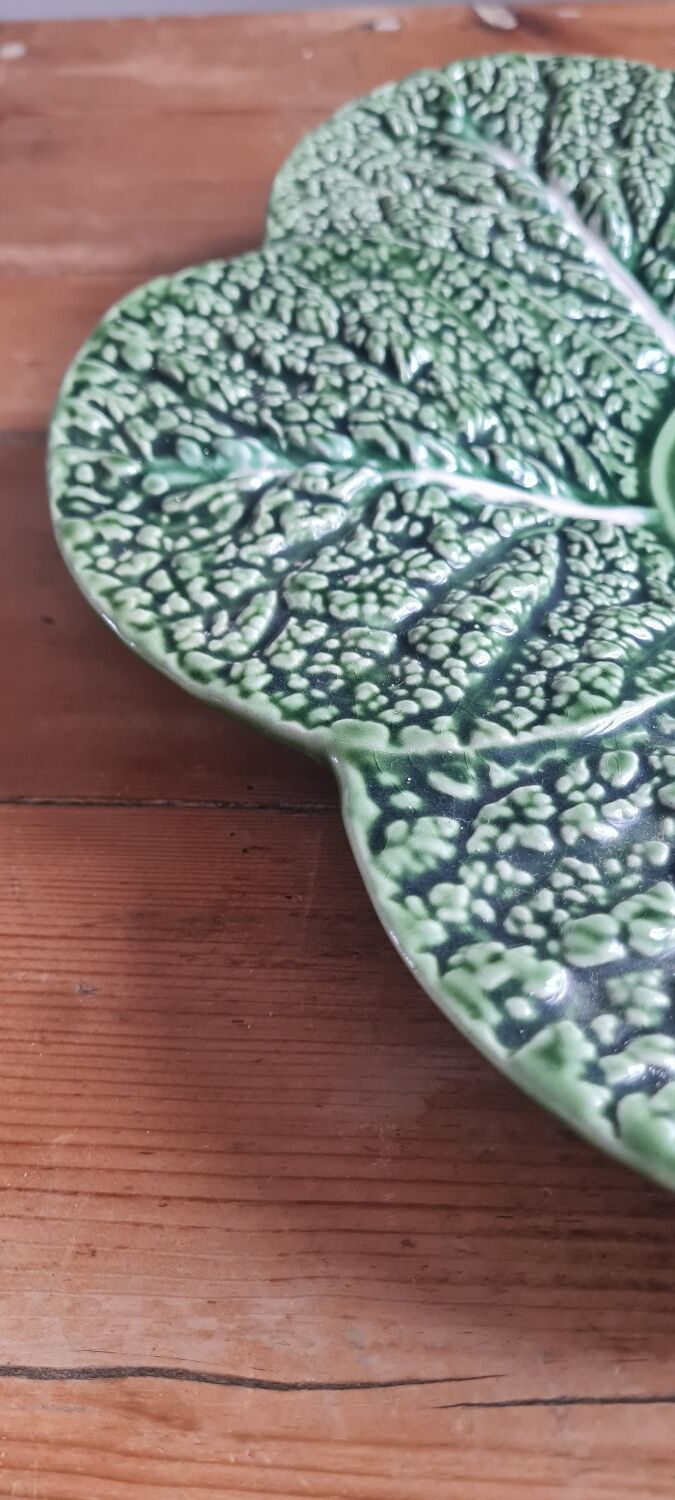 Cabbage slip dish