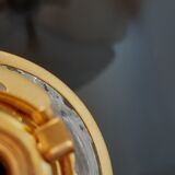 Hanging lamp old tulip lamp early twentieth century