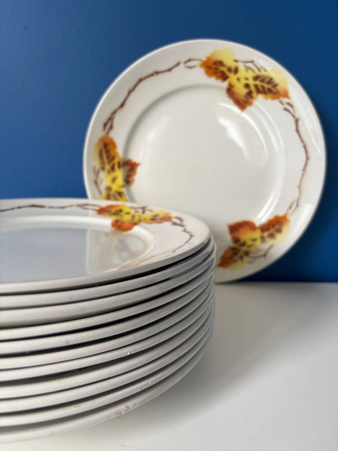 Set of 6 Moulin des Loups plates – French earthenware tableware – mo