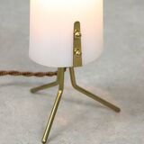 Mid-Century Italian Plastic and Brass Table Lamp