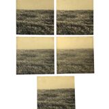 Gerry Hunt (1927 - 2023), set of 5 photographs mounted on wooden panels, United Kingdom 1977