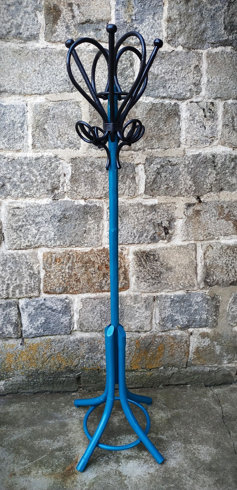 Painted parrot coats door