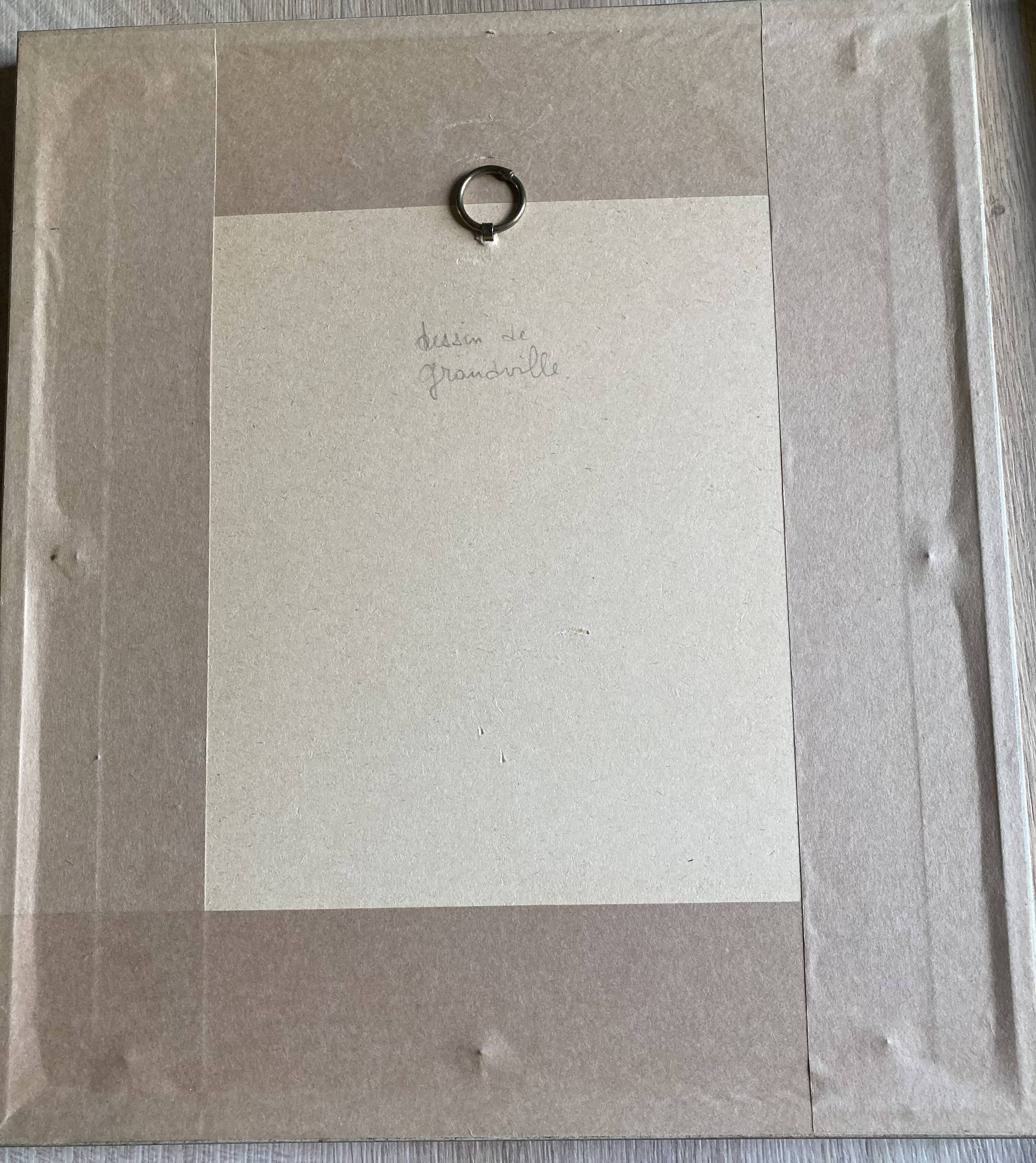 Framed engravings "animated flowers" - JJ Grandville