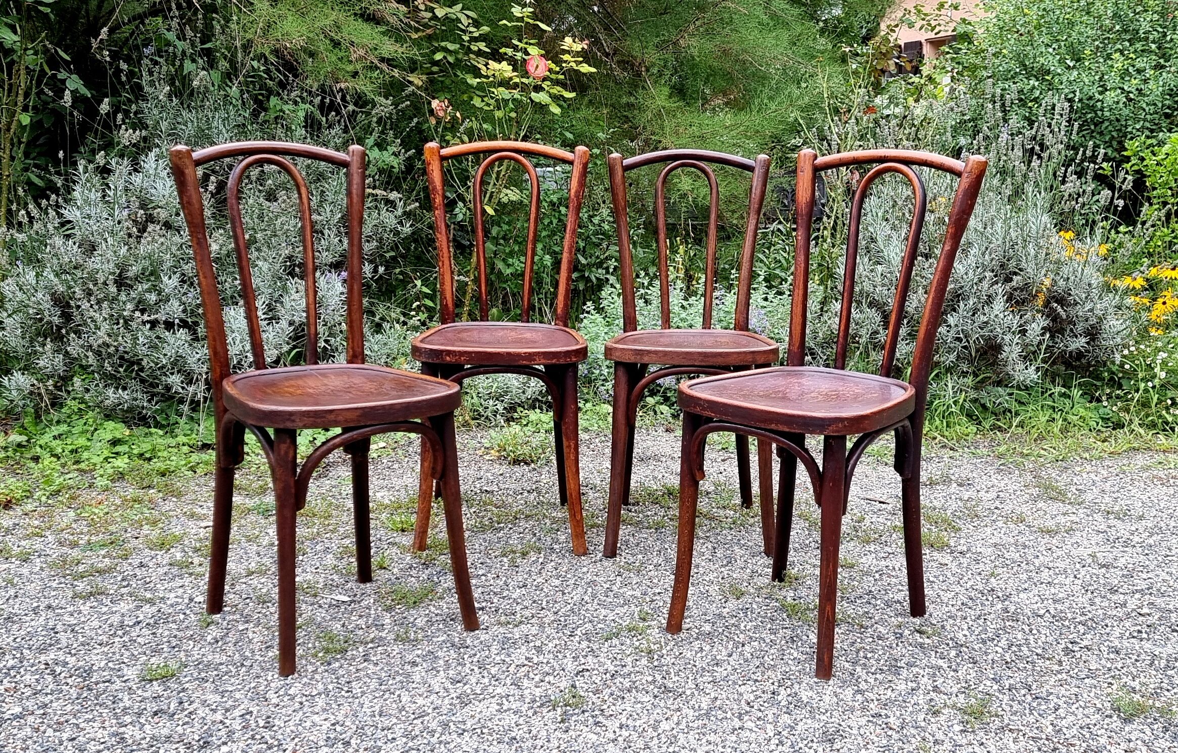4 chairs bistrot type n°56 years 30