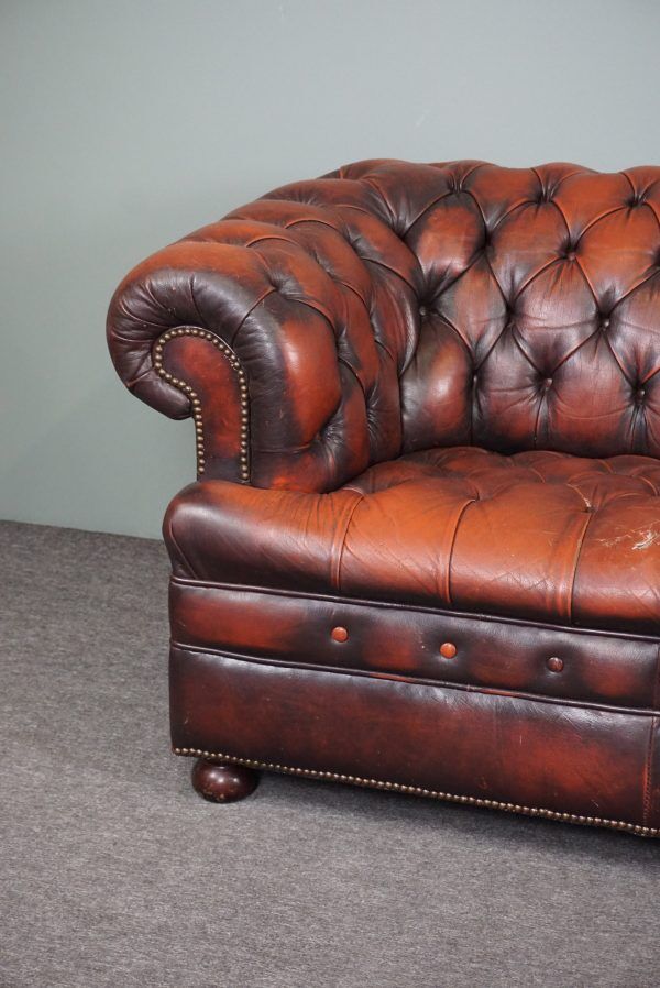 Chesterfield sofa in resistant cowhide, 3 seats