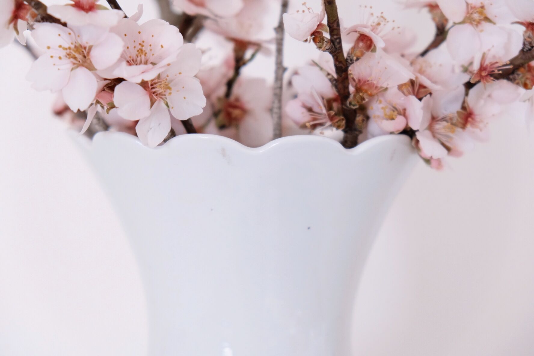 White vase Bareuther Waldsassen 50s