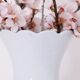 White vase Bareuther Waldsassen 50s