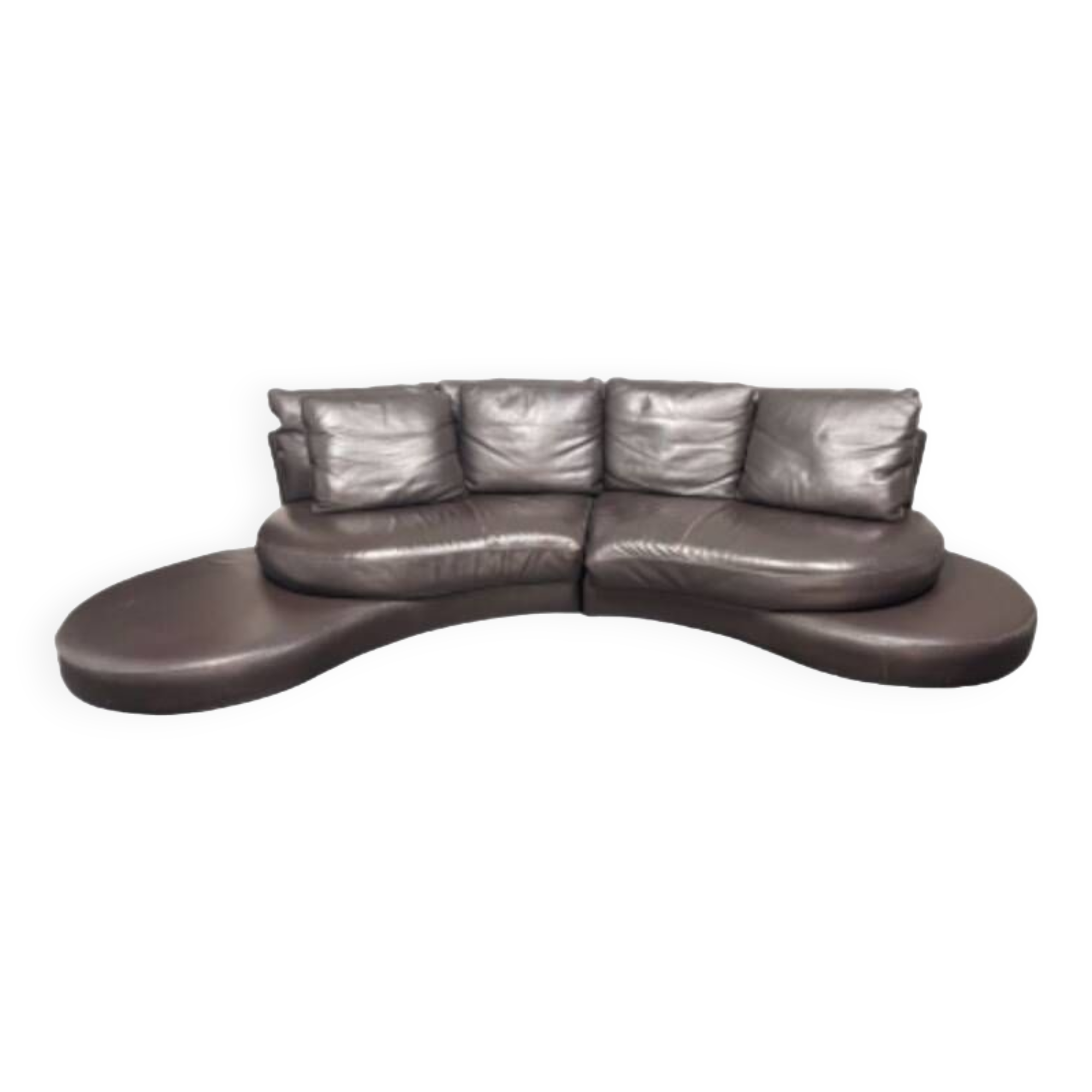 Roche Bobois Vintage Leather Sofa, Leather Sofa, Original Leather Sofa