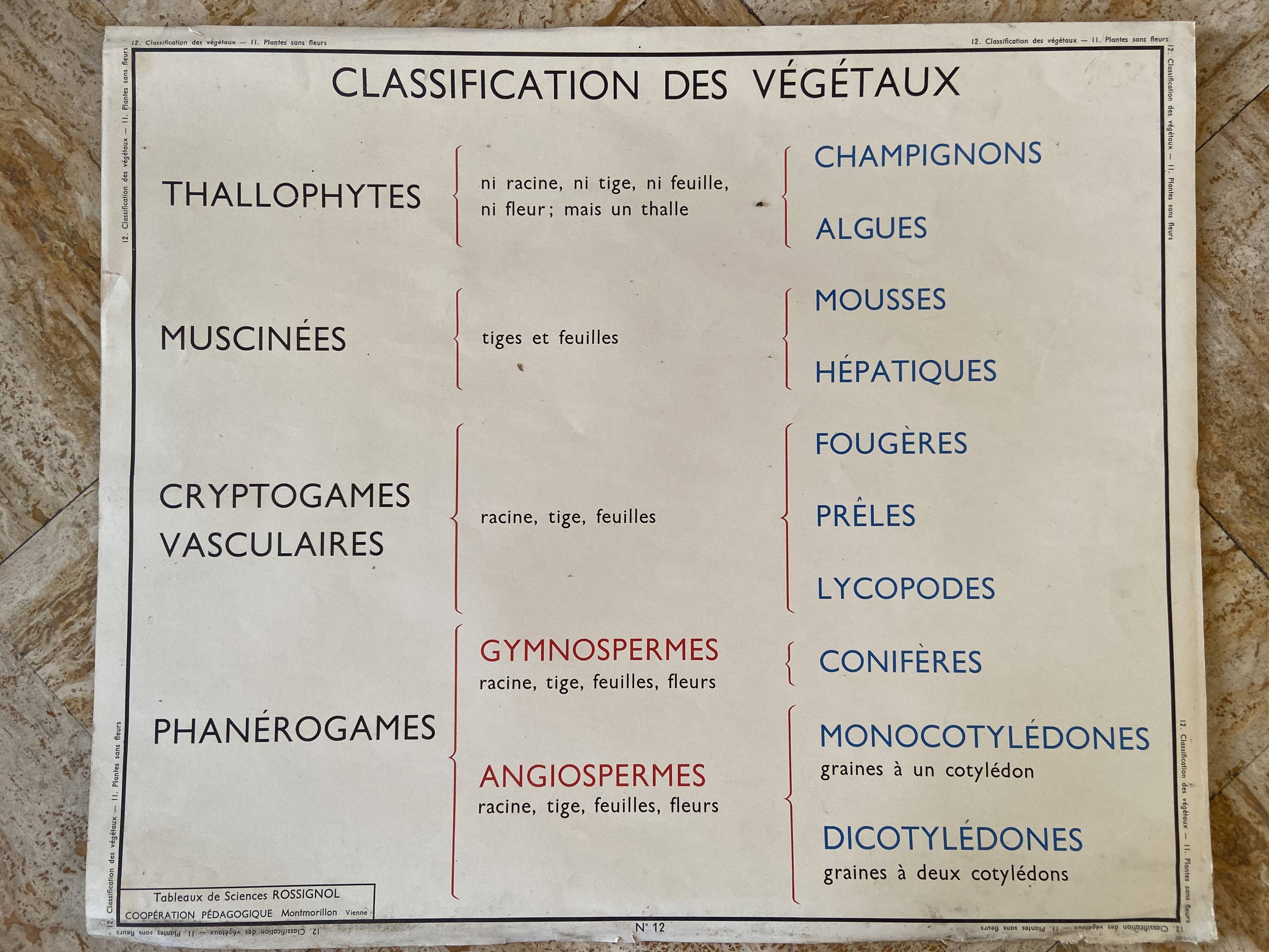 Old vintage school poster