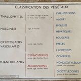 Affiche scolaire vintage