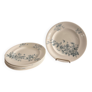 Lot 6 assiette Plates