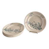 Lot 6 Plate Plates Faience Longwy Model Mignon