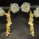 Paire de grandes appliques style Rocaille / Rococo fin XIXe