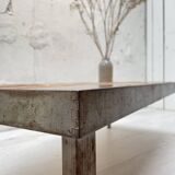 Coffee table "Herbariums", after Roger Capron.