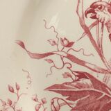 2 ancient plates longchamp congo parrot antique french plate parrot