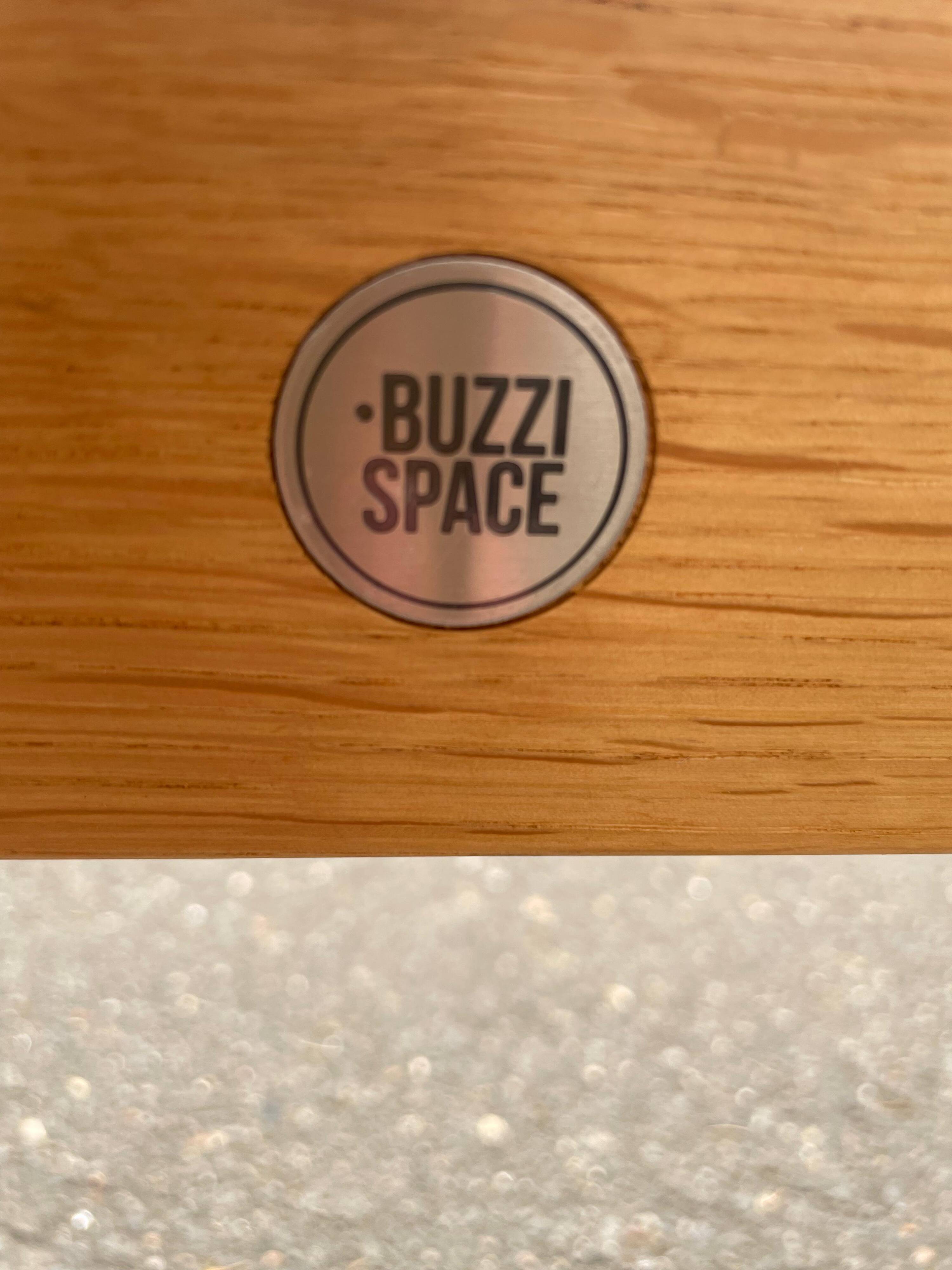 Paire de fauteuils design Buzzi Space