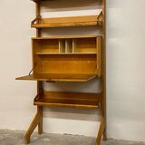 Mid-Century Wall Cabinet bookcase secretary by Cees Braakman for Pastoe