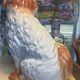 Set of 2 Dog Statues – Staffordshire – Ornament – Vintage Pair