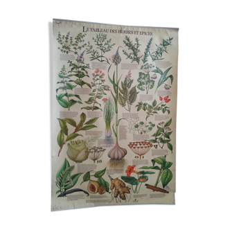 1978 botanical vintage poster