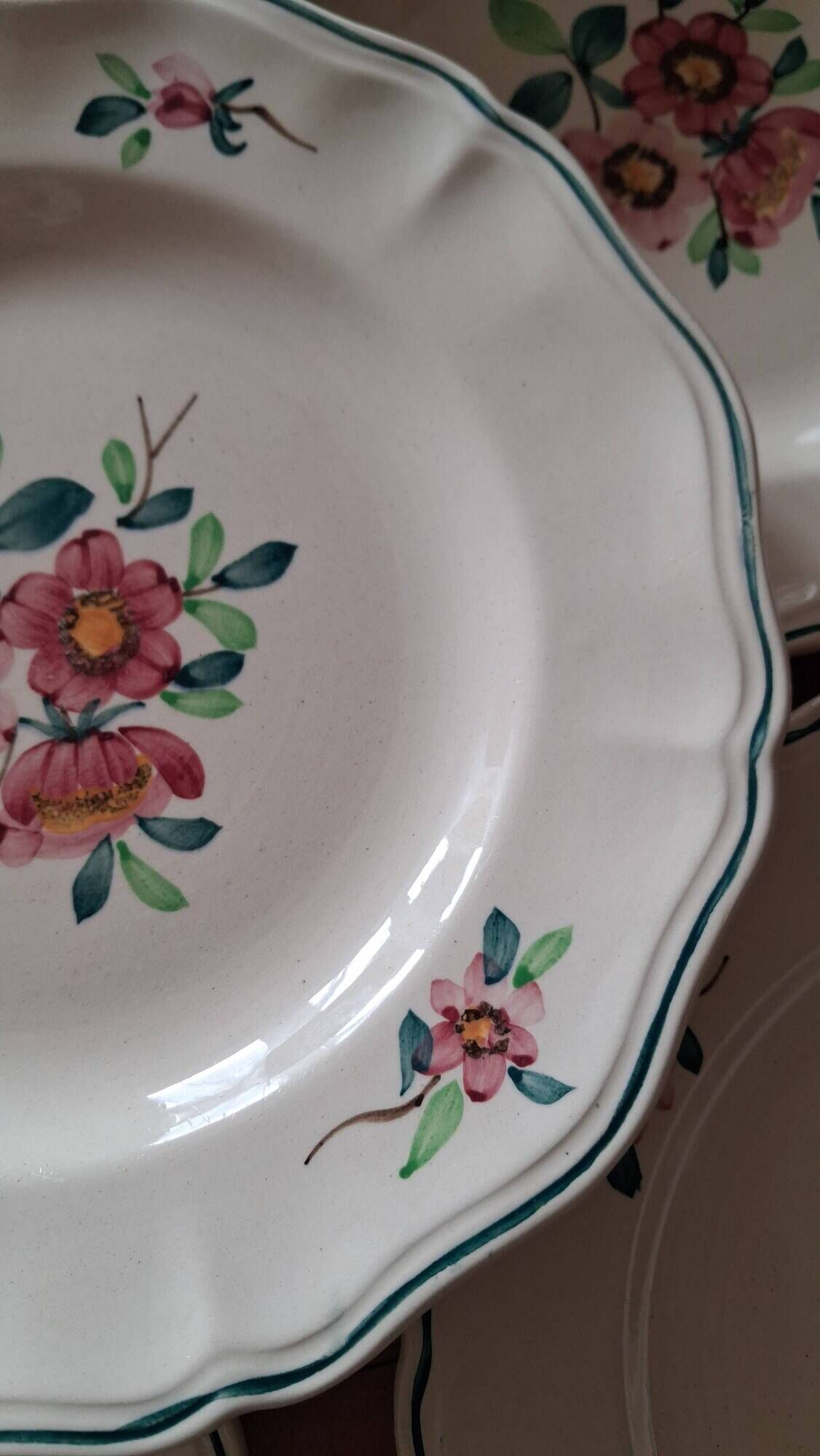 Amazonas plates Sarreguemines