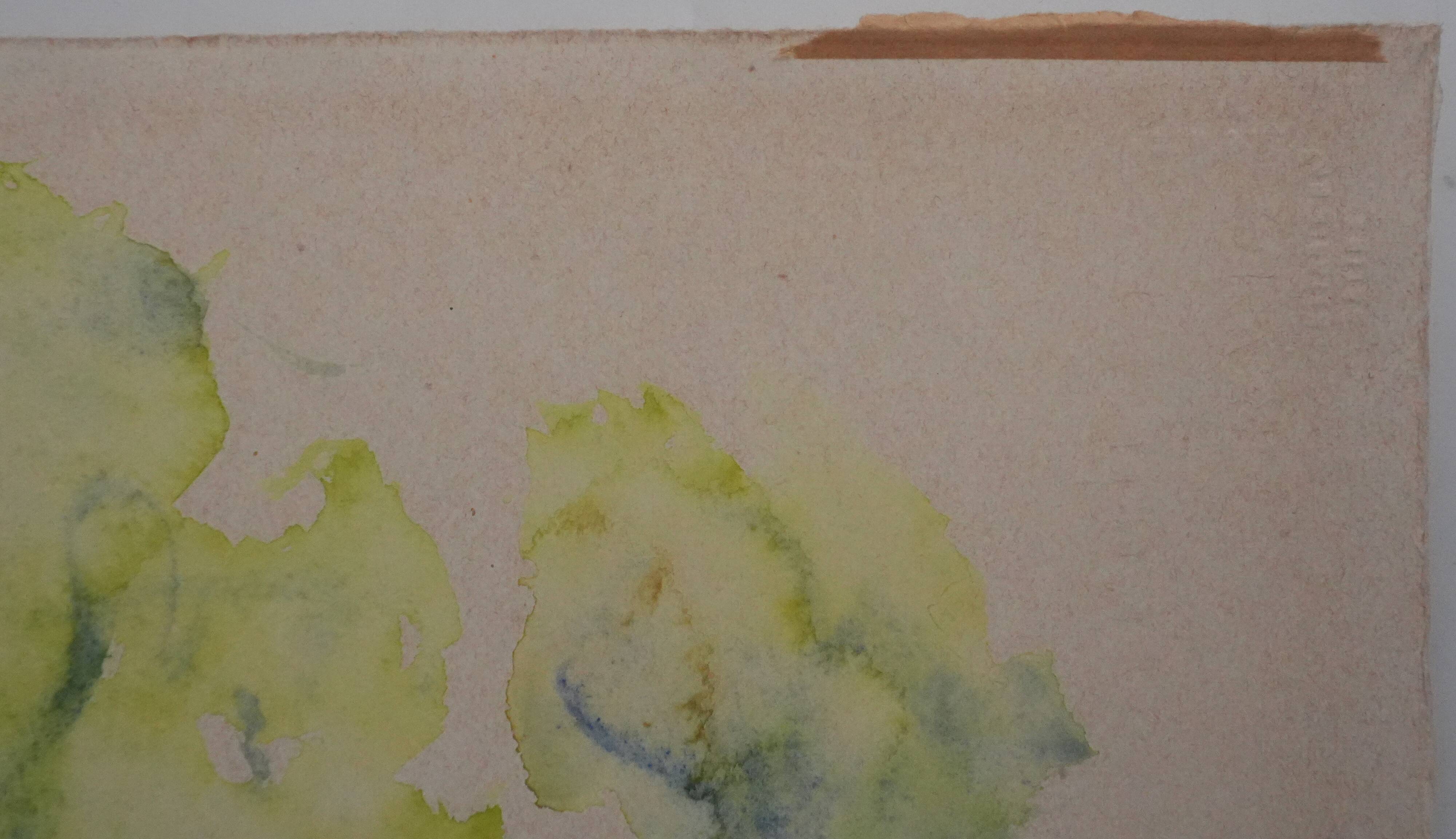 20th Century School: The Flower Park, original signed watercolor